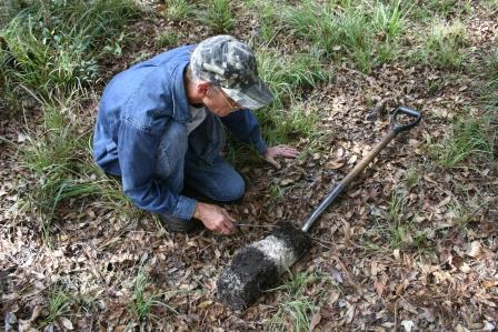 Environmental Site Assessments in Georgia and North Florida